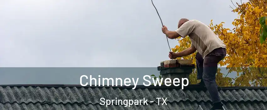 Chimney Sweep Springpark - TX