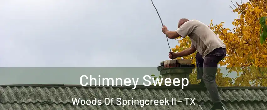Chimney Sweep Woods Of Springcreek II - TX
