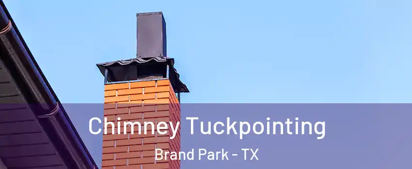 Chimney Tuckpointing Brand Park - TX