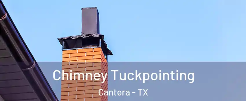 Chimney Tuckpointing Cantera - TX