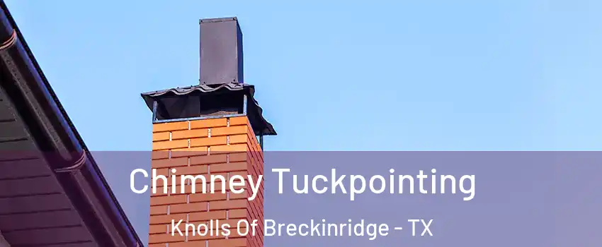 Chimney Tuckpointing Knolls Of Breckinridge - TX