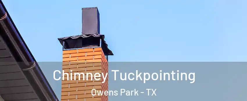 Chimney Tuckpointing Owens Park - TX