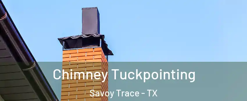 Chimney Tuckpointing Savoy Trace - TX