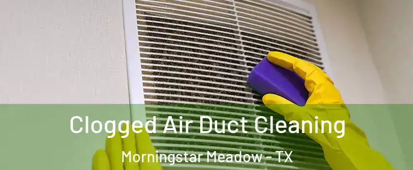Clogged Air Duct Cleaning Morningstar Meadow - TX