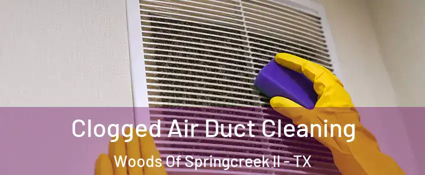 Clogged Air Duct Cleaning Woods Of Springcreek II - TX