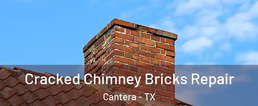 Cracked Chimney Bricks Repair Cantera - TX