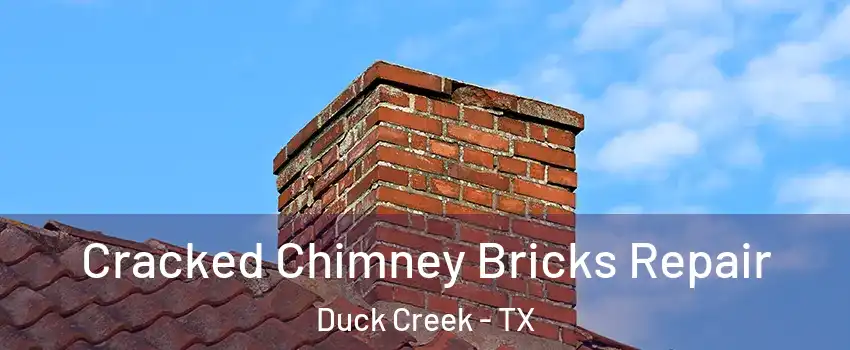 Cracked Chimney Bricks Repair Duck Creek - TX