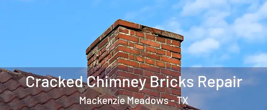 Cracked Chimney Bricks Repair Mackenzie Meadows - TX
