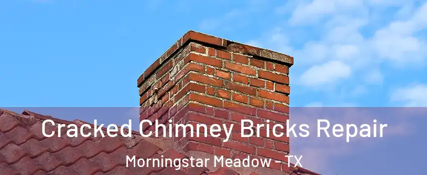 Cracked Chimney Bricks Repair Morningstar Meadow - TX