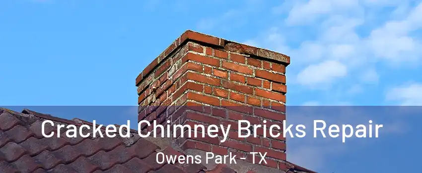 Cracked Chimney Bricks Repair Owens Park - TX