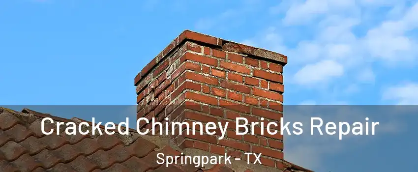 Cracked Chimney Bricks Repair Springpark - TX