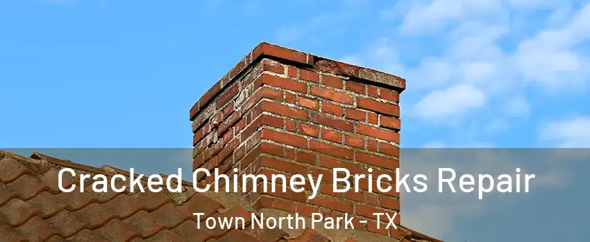 Cracked Chimney Bricks Repair Town North Park - TX