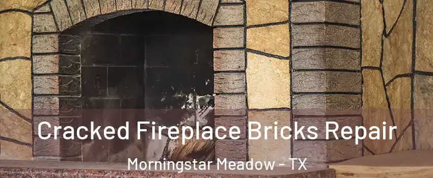 Cracked Fireplace Bricks Repair Morningstar Meadow - TX