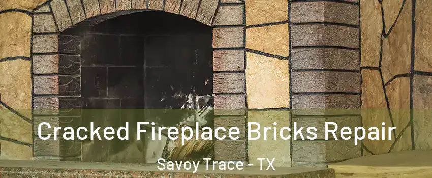 Cracked Fireplace Bricks Repair Savoy Trace - TX
