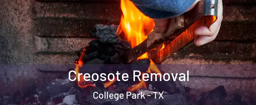 Creosote Removal College Park - TX