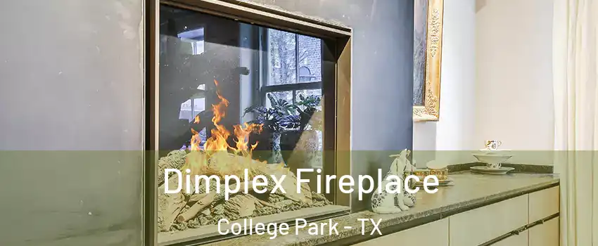 Dimplex Fireplace College Park - TX
