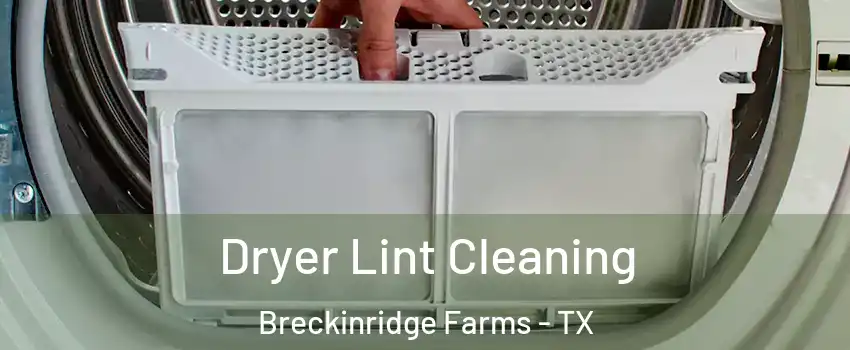Dryer Lint Cleaning Breckinridge Farms - TX