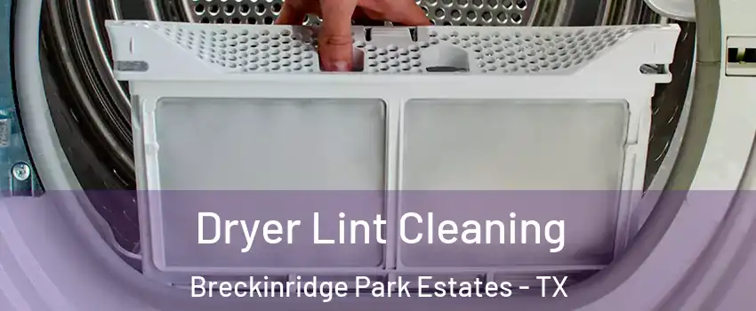Dryer Lint Cleaning Breckinridge Park Estates - TX