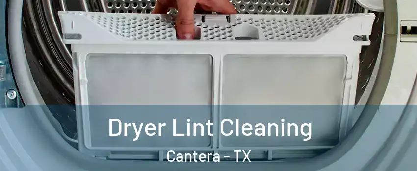 Dryer Lint Cleaning Cantera - TX