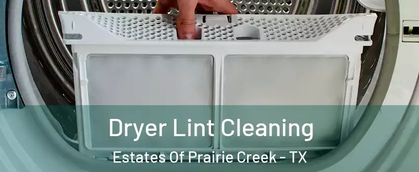 Dryer Lint Cleaning Estates Of Prairie Creek - TX