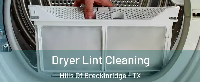 Dryer Lint Cleaning Hills Of Breckinridge - TX