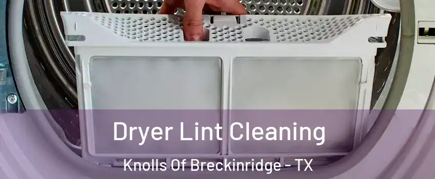 Dryer Lint Cleaning Knolls Of Breckinridge - TX