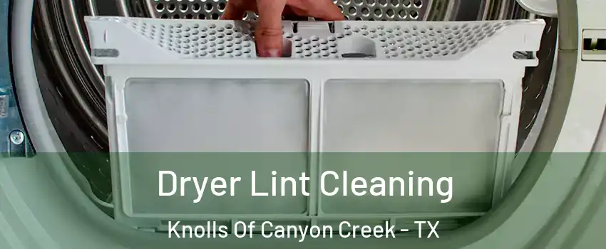 Dryer Lint Cleaning Knolls Of Canyon Creek - TX