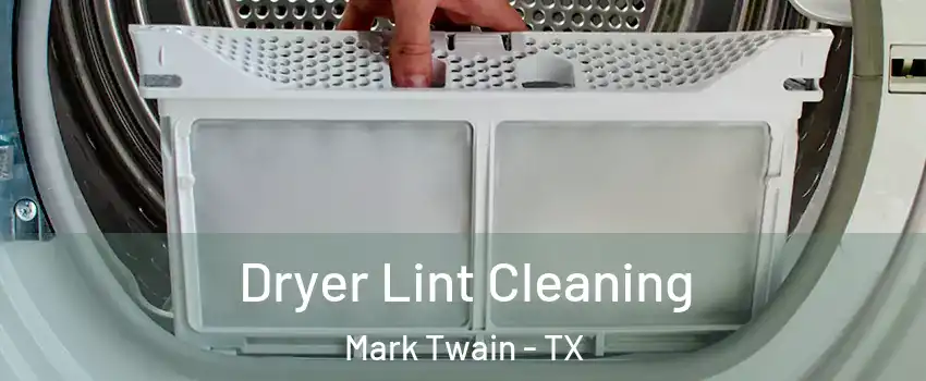 Dryer Lint Cleaning Mark Twain - TX