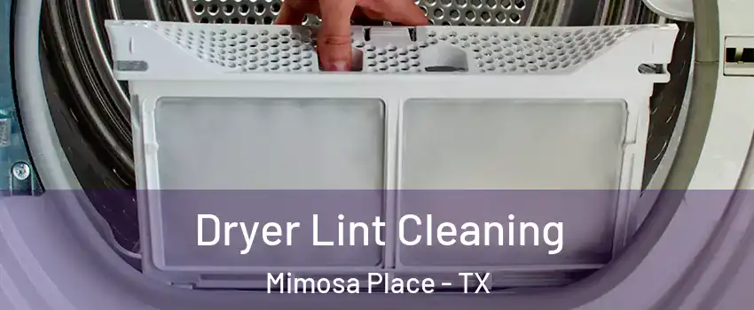 Dryer Lint Cleaning Mimosa Place - TX