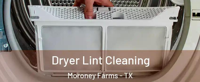 Dryer Lint Cleaning Moroney Farms - TX