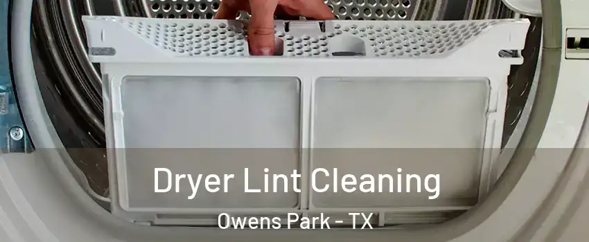 Dryer Lint Cleaning Owens Park - TX