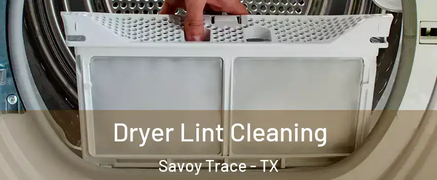 Dryer Lint Cleaning Savoy Trace - TX