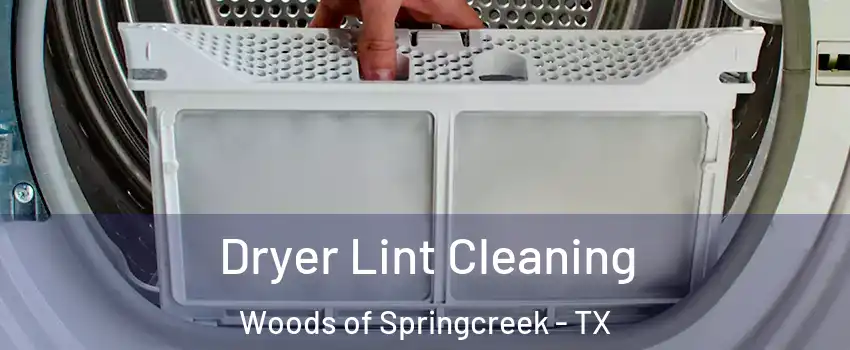 Dryer Lint Cleaning Woods of Springcreek - TX