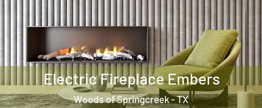 Electric Fireplace Embers Woods of Springcreek - TX