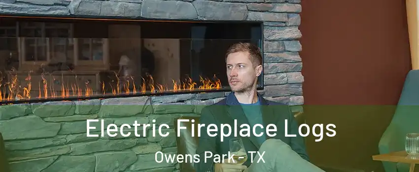 Electric Fireplace Logs Owens Park - TX
