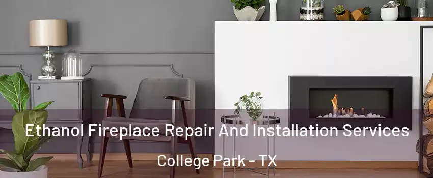 Ethanol Fireplace Repair And Installation Services College Park - TX