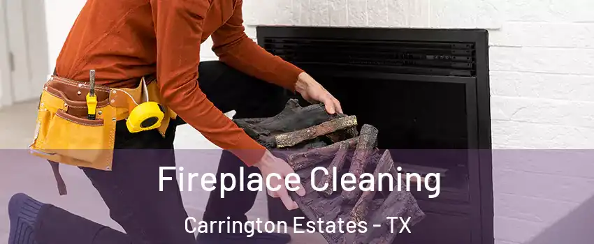 Fireplace Cleaning Carrington Estates - TX