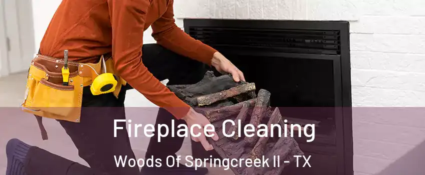 Fireplace Cleaning Woods Of Springcreek II - TX