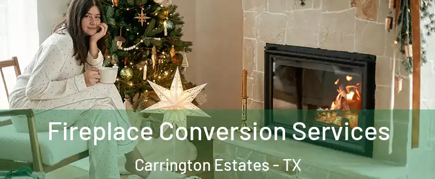 Fireplace Conversion Services Carrington Estates - TX