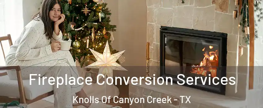Fireplace Conversion Services Knolls Of Canyon Creek - TX