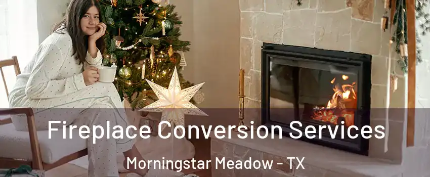 Fireplace Conversion Services Morningstar Meadow - TX