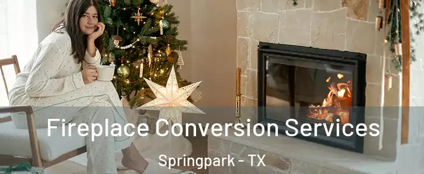 Fireplace Conversion Services Springpark - TX