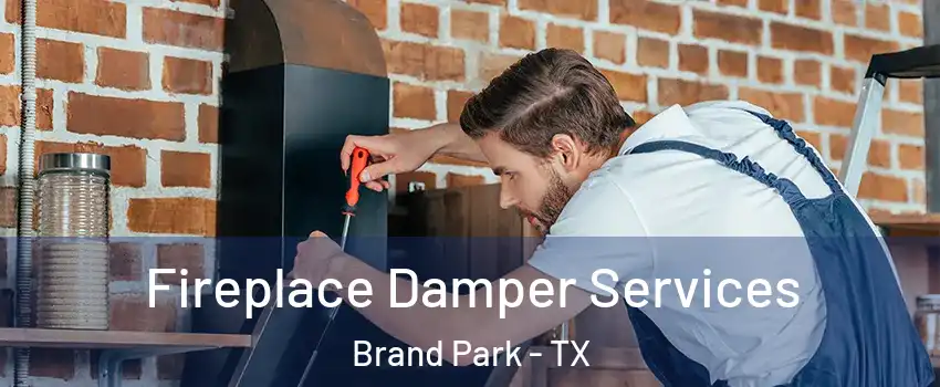 Fireplace Damper Services Brand Park - TX
