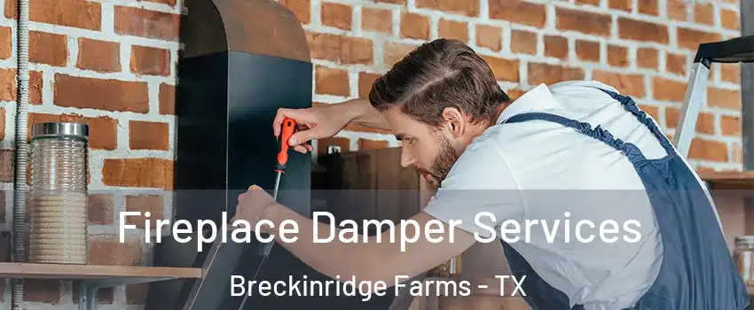 Fireplace Damper Services Breckinridge Farms - TX