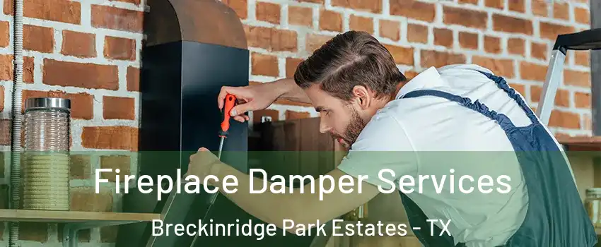Fireplace Damper Services Breckinridge Park Estates - TX