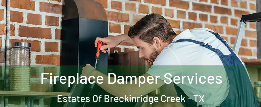 Fireplace Damper Services Estates Of Breckinridge Creek - TX