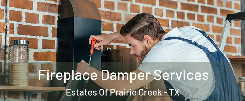 Fireplace Damper Services Estates Of Prairie Creek - TX