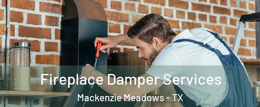 Fireplace Damper Services Mackenzie Meadows - TX