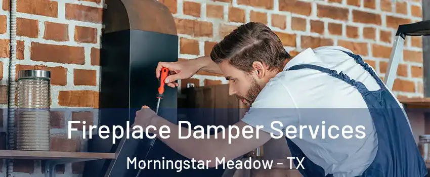 Fireplace Damper Services Morningstar Meadow - TX