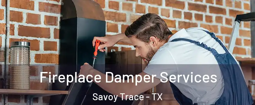 Fireplace Damper Services Savoy Trace - TX